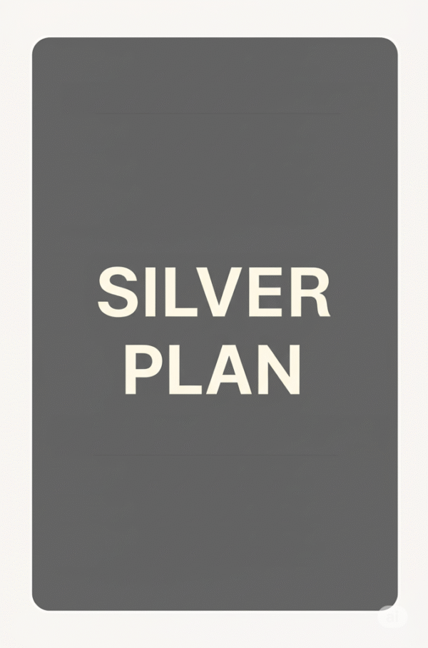 Silver Plan